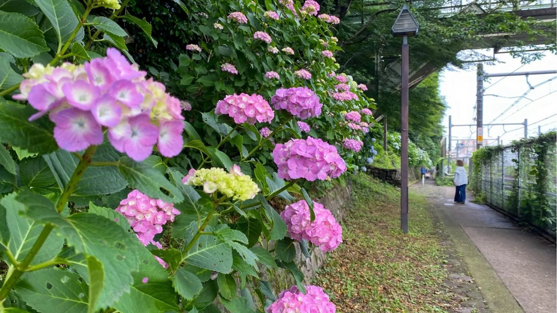 Guest house Bisk Park Higashi-Jujo Hotel Tokyo